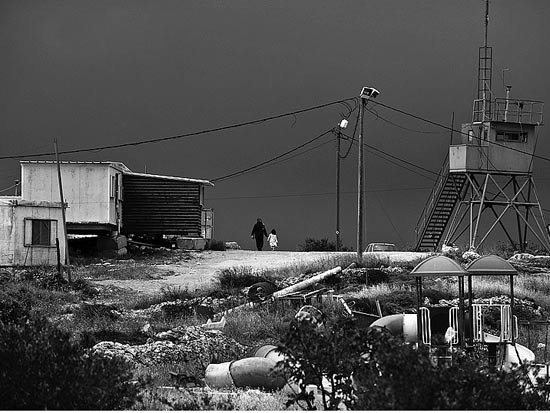 שדה בועז בגוש עציון / צלם: אדוארד קפרוב